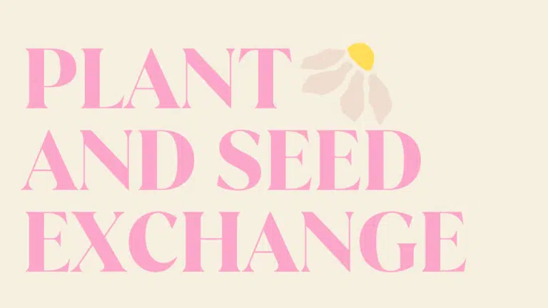Pink text says Plant and Seed Exchange. Image of a small daisy.
